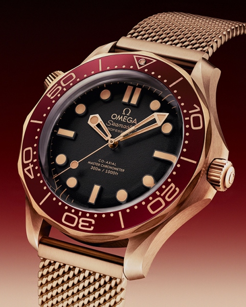 Seamaster Diver 300M color borgogna in Bronze Gold